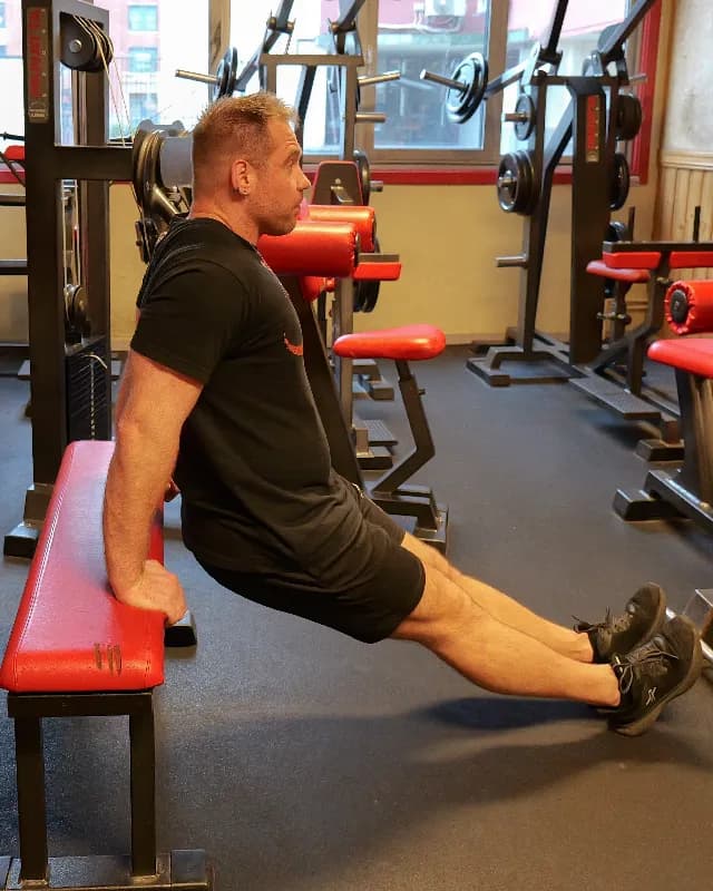 Bench Dips