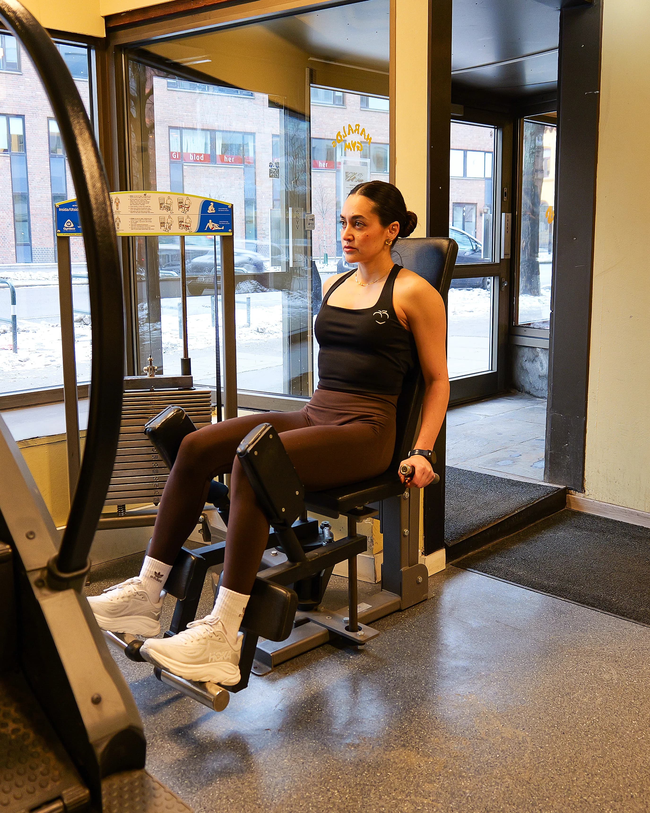 Hip Abductor Machine