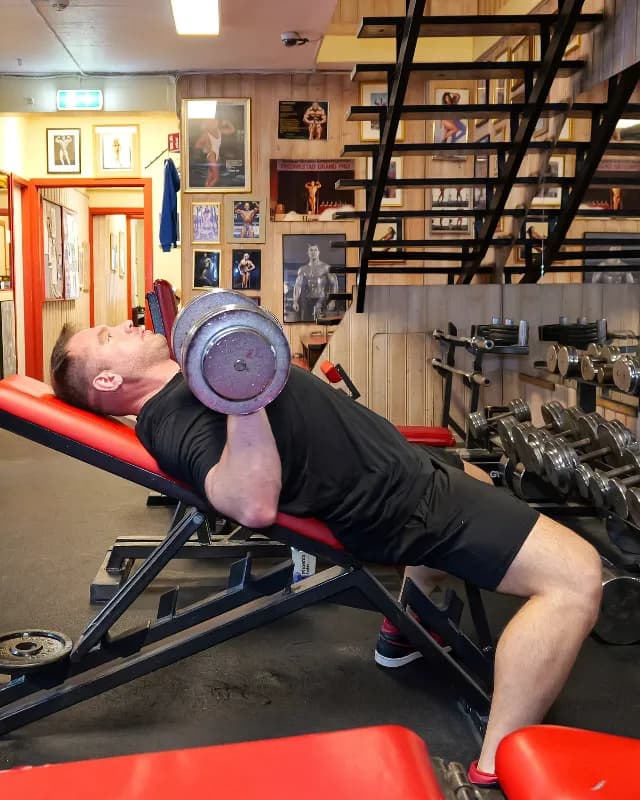 Incline Bench Dumbbell Press