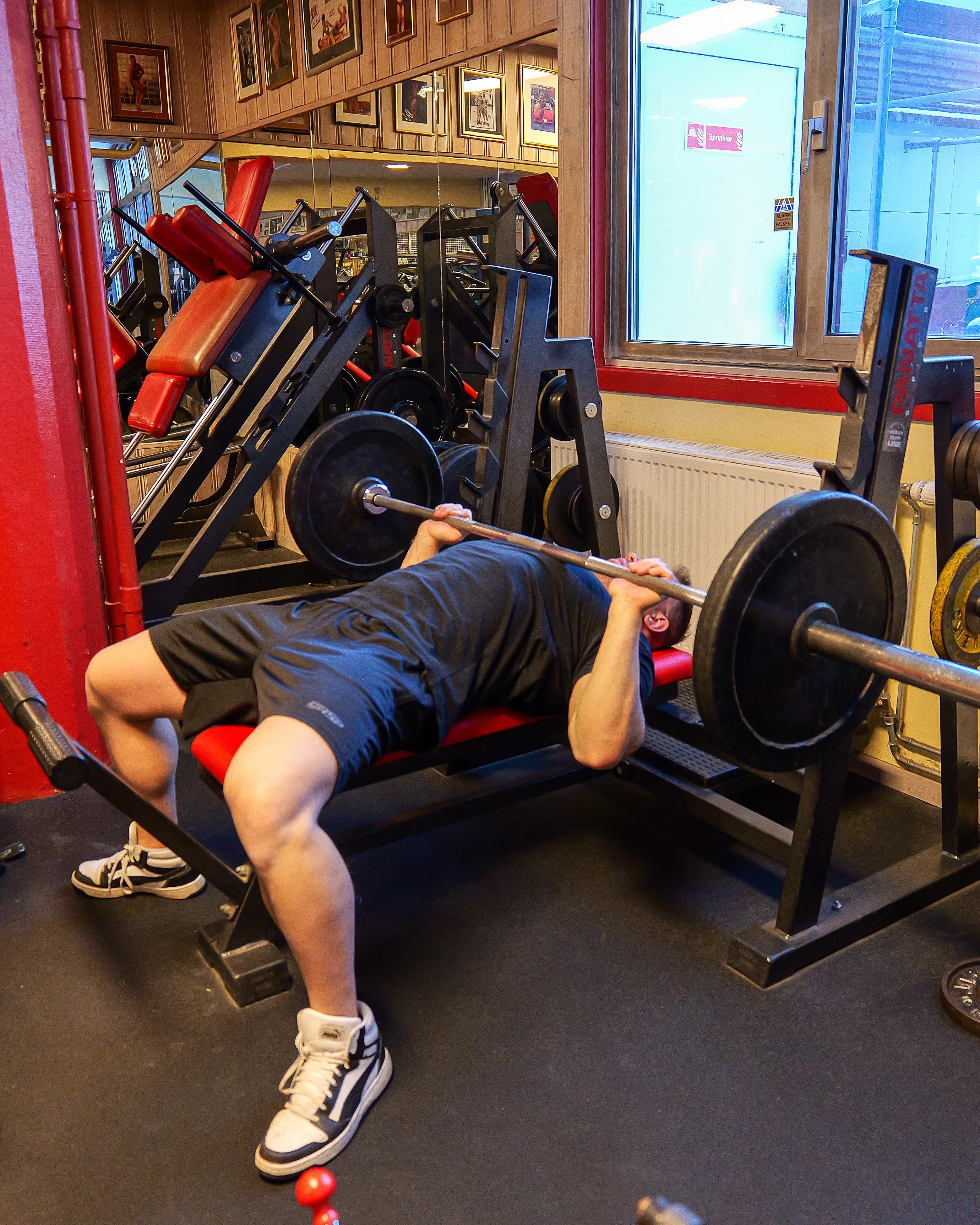 Barbell Bench Press